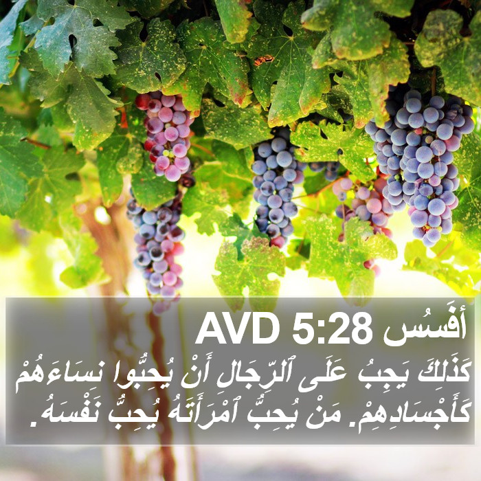 أفَسُس 5:28 AVD Bible Study