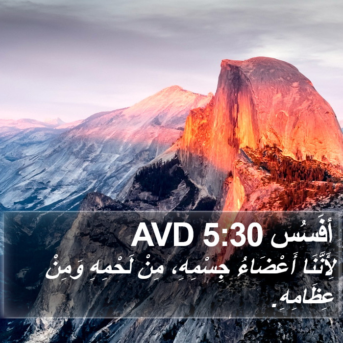 أفَسُس 5:30 AVD Bible Study