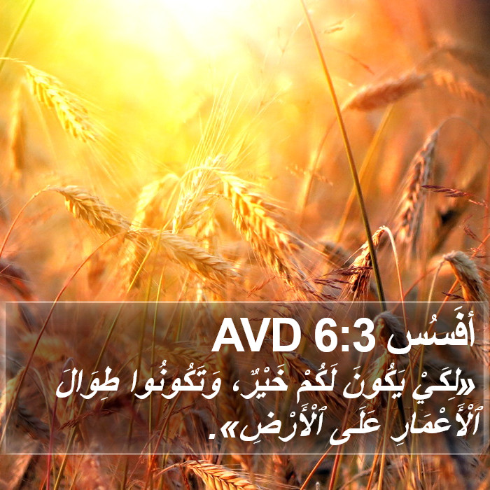 أفَسُس 6:3 AVD Bible Study