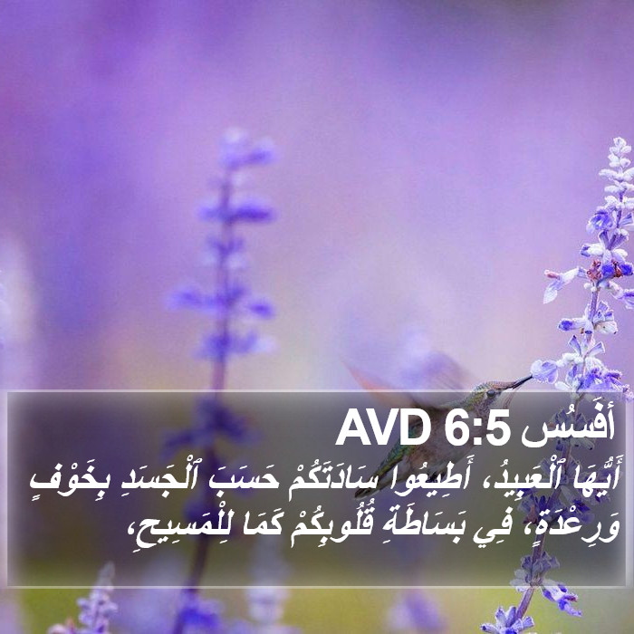 أفَسُس 6:5 AVD Bible Study