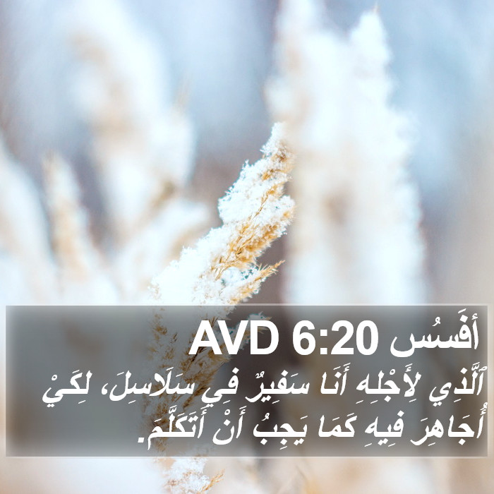 أفَسُس 6:20 AVD Bible Study