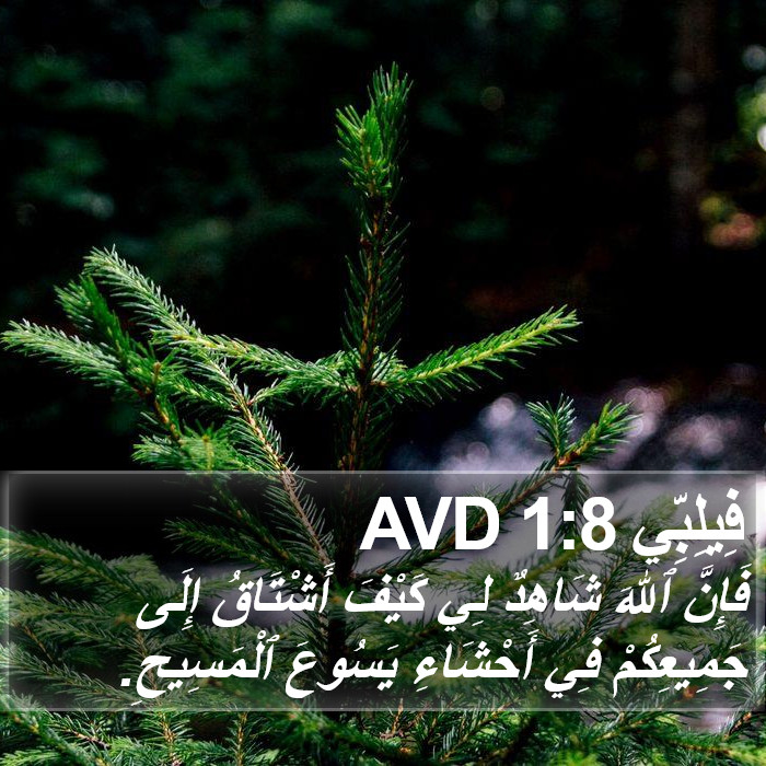 فِيلِبِّي 1:8 AVD Bible Study