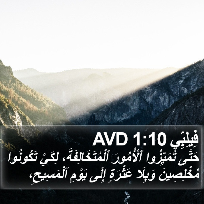 فِيلِبِّي 1:10 AVD Bible Study