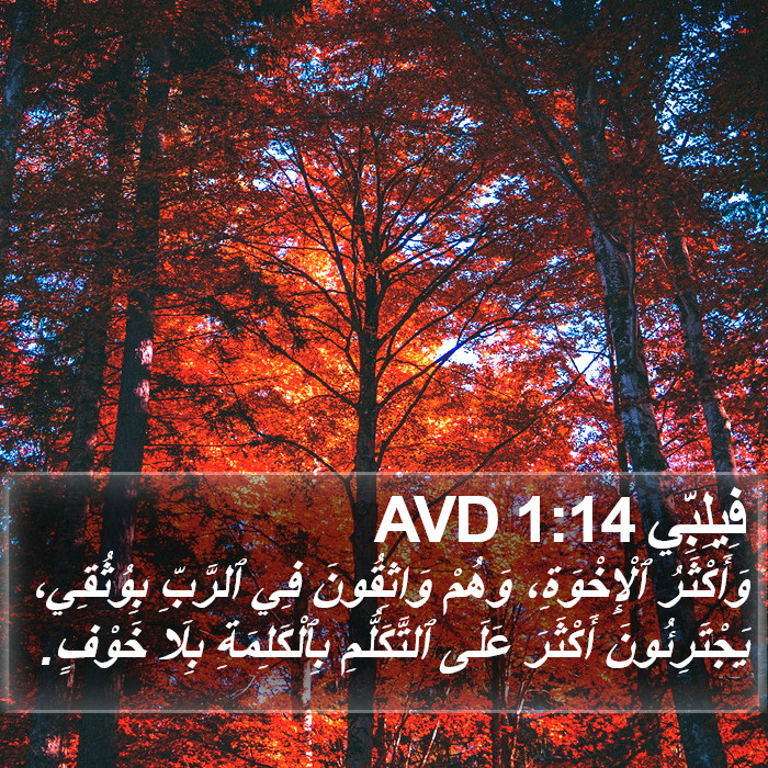 فِيلِبِّي 1:14 AVD Bible Study