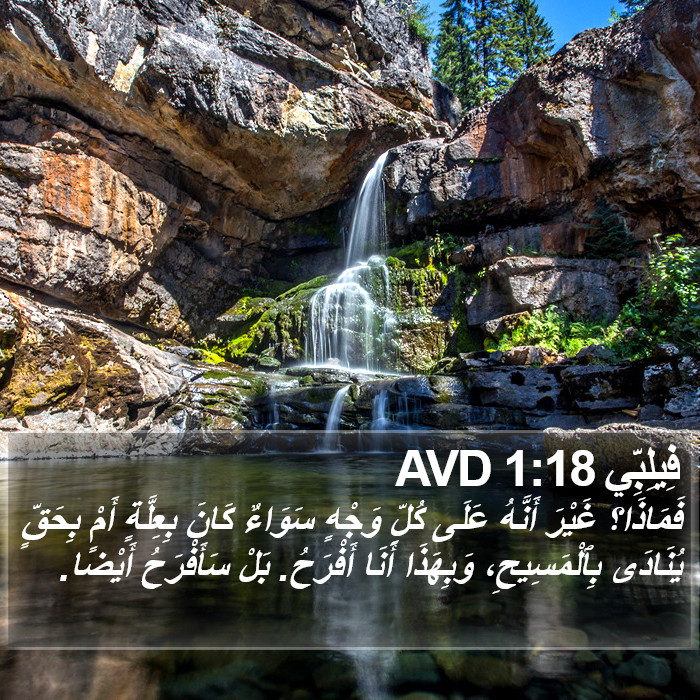 فِيلِبِّي 1:18 AVD Bible Study