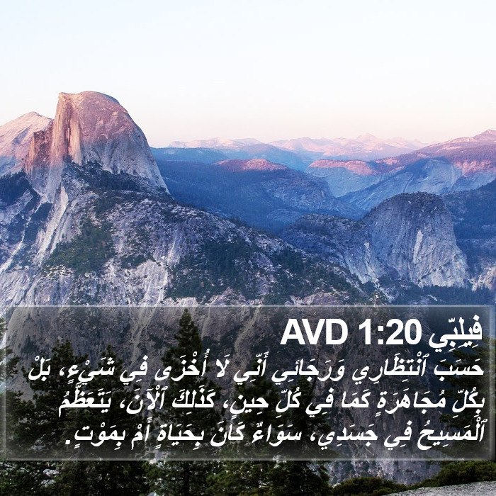 فِيلِبِّي 1:20 AVD Bible Study