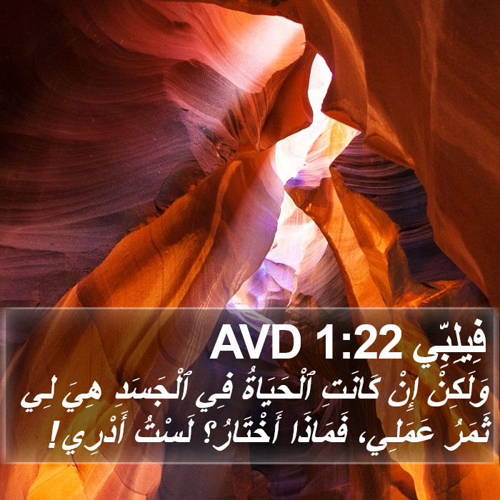 فِيلِبِّي 1:22 AVD Bible Study