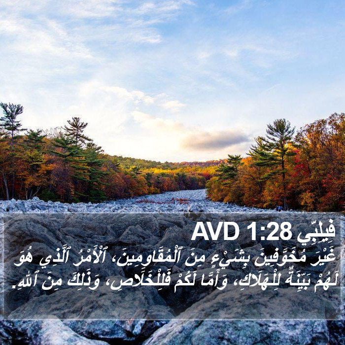 فِيلِبِّي 1:28 AVD Bible Study