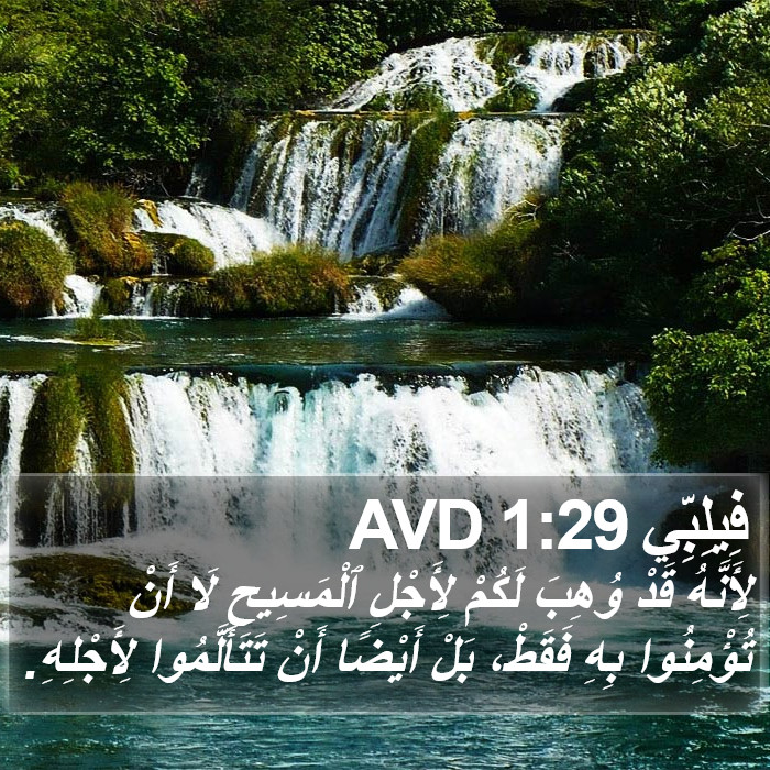 فِيلِبِّي 1:29 AVD Bible Study