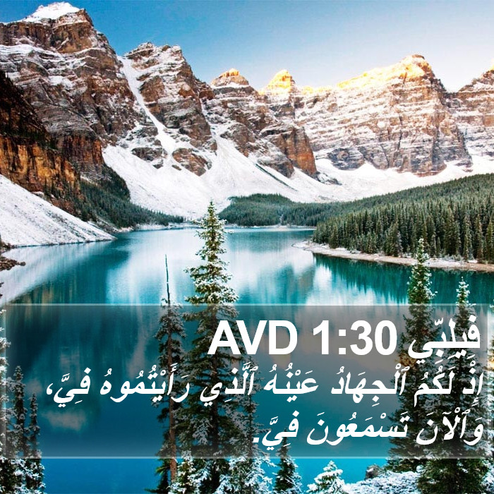 فِيلِبِّي 1:30 AVD Bible Study