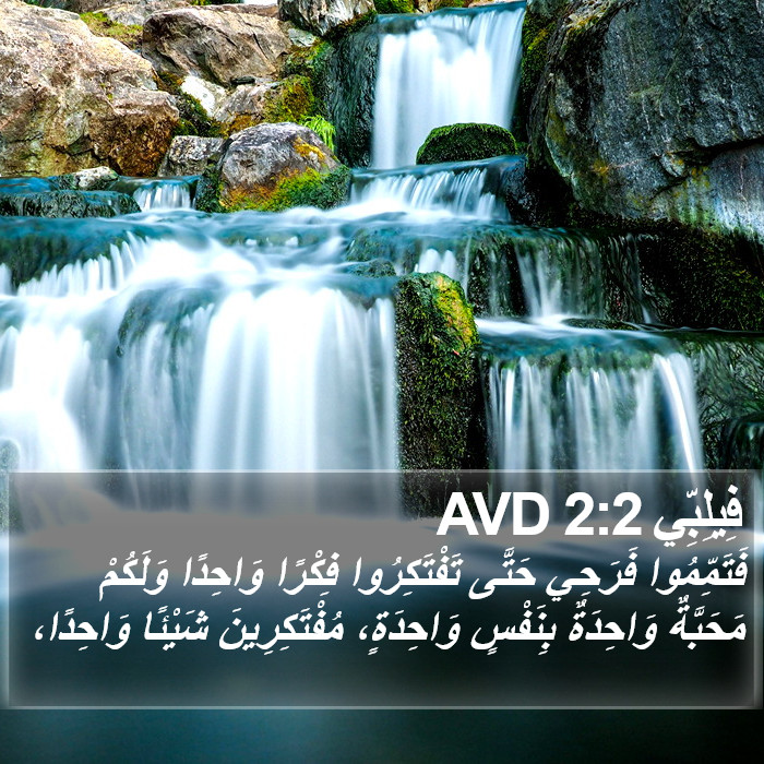 فِيلِبِّي 2:2 AVD Bible Study
