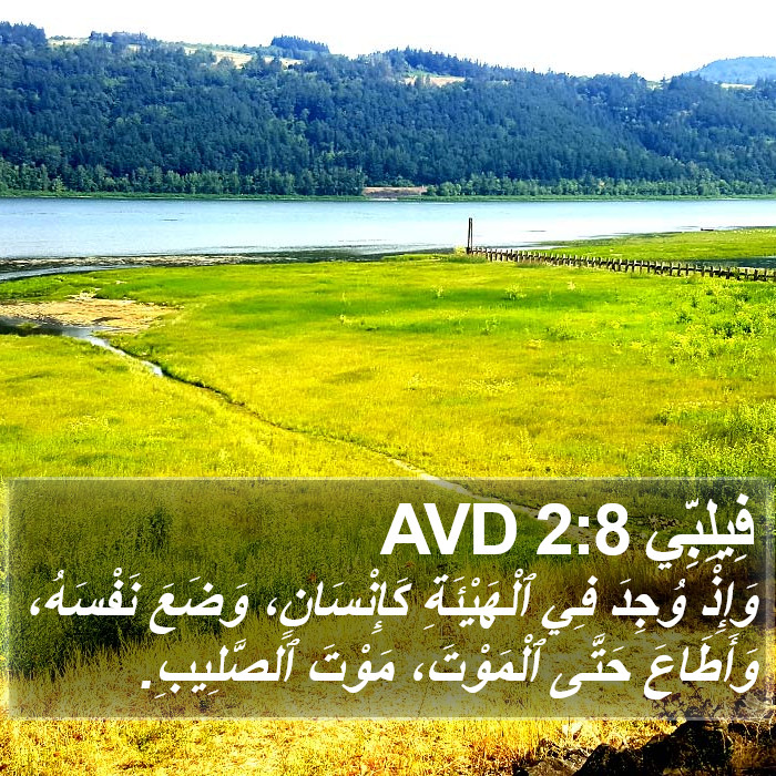 فِيلِبِّي 2:8 AVD Bible Study