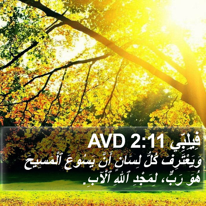فِيلِبِّي 2:11 AVD Bible Study
