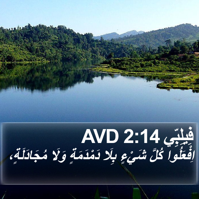 فِيلِبِّي 2:14 AVD Bible Study
