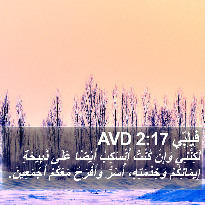 فِيلِبِّي 2:17 AVD Bible Study