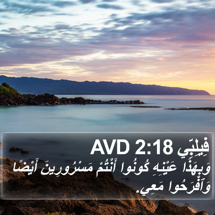 فِيلِبِّي 2:18 AVD Bible Study