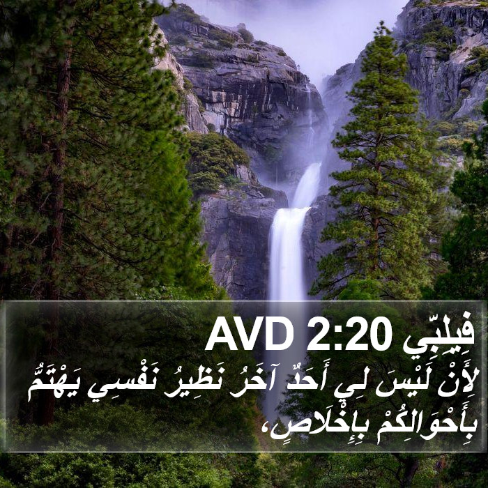 فِيلِبِّي 2:20 AVD Bible Study