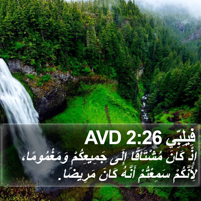 فِيلِبِّي 2:26 AVD Bible Study