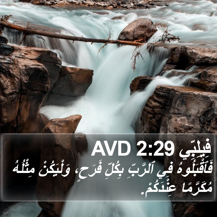 فِيلِبِّي 2:29 AVD Bible Study