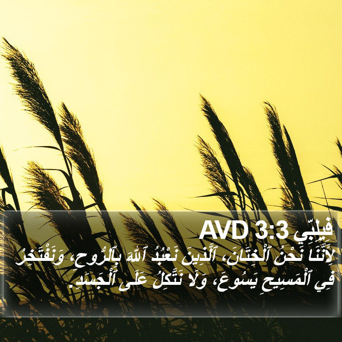 فِيلِبِّي 3:3 AVD Bible Study