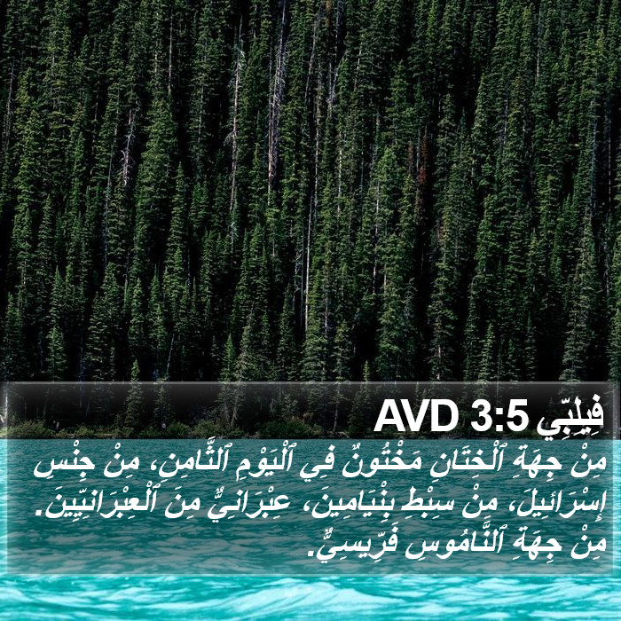 فِيلِبِّي 3:5 AVD Bible Study