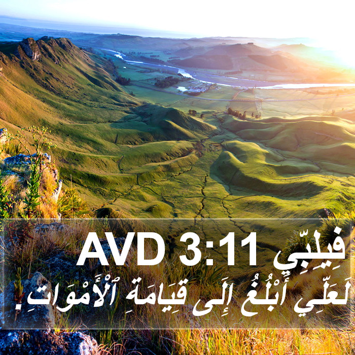 فِيلِبِّي 3:11 AVD Bible Study