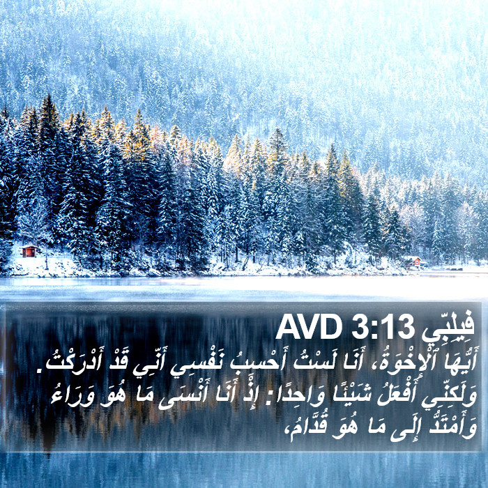 فِيلِبِّي 3:13 AVD Bible Study