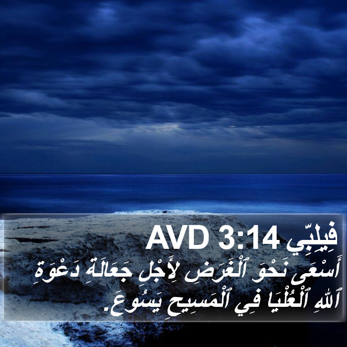 فِيلِبِّي 3:14 AVD Bible Study