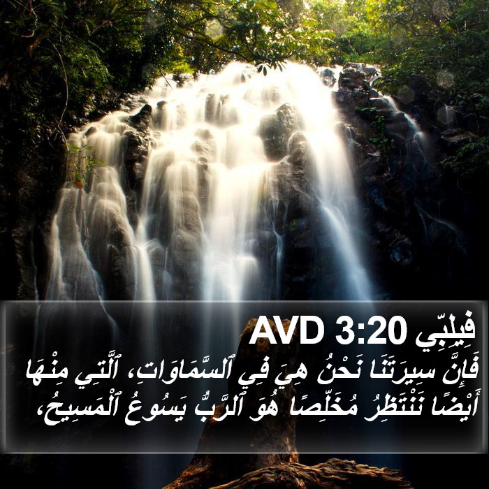 فِيلِبِّي 3:20 AVD Bible Study