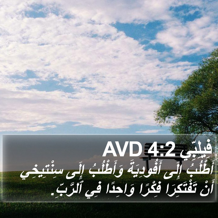فِيلِبِّي 4:2 AVD Bible Study