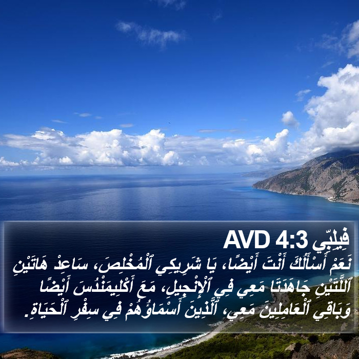 فِيلِبِّي 4:3 AVD Bible Study