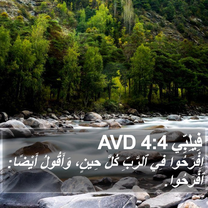 فِيلِبِّي 4:4 AVD Bible Study
