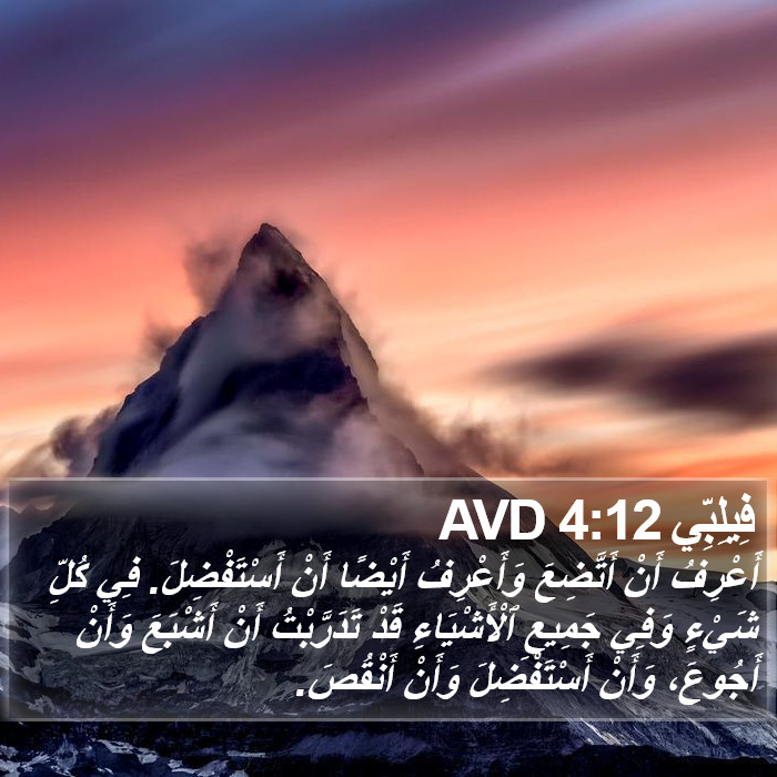فِيلِبِّي 4:12 AVD Bible Study