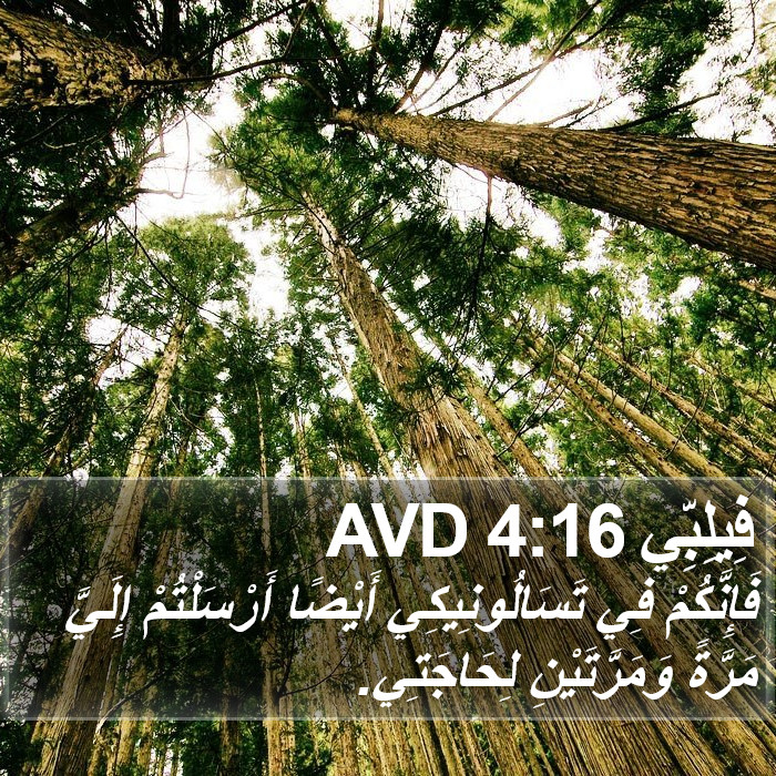 فِيلِبِّي 4:16 AVD Bible Study
