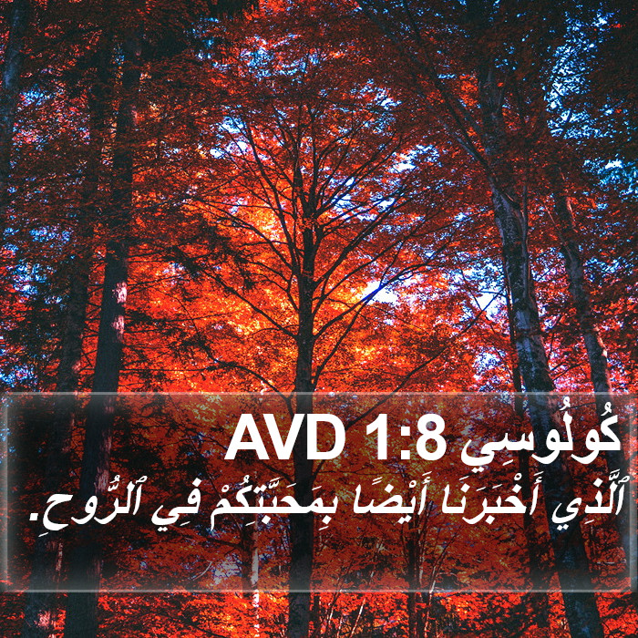 كُولُوسِي 1:8 AVD Bible Study