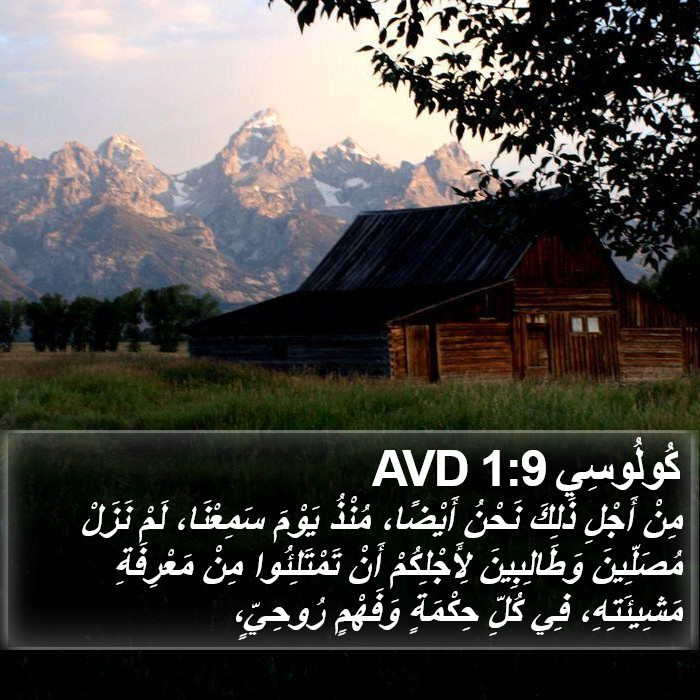 كُولُوسِي 1:9 AVD Bible Study