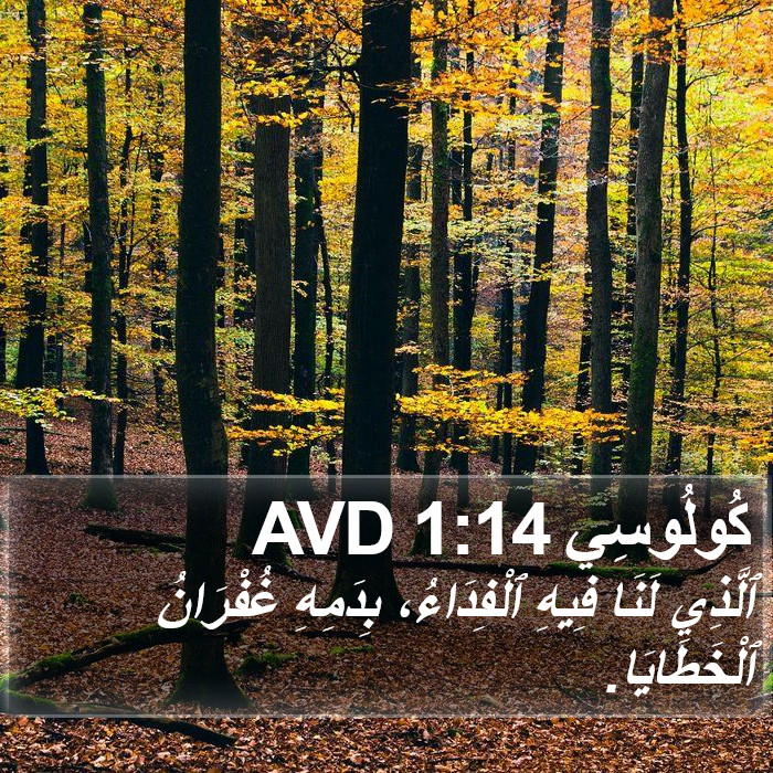 كُولُوسِي 1:14 AVD Bible Study