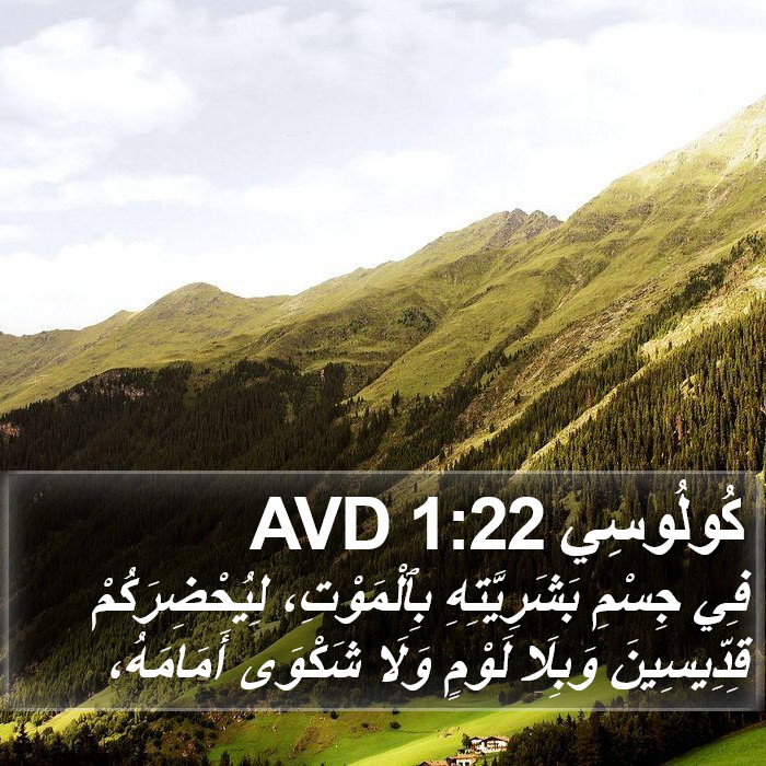 كُولُوسِي 1:22 AVD Bible Study