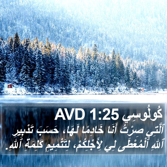 كُولُوسِي 1:25 AVD Bible Study