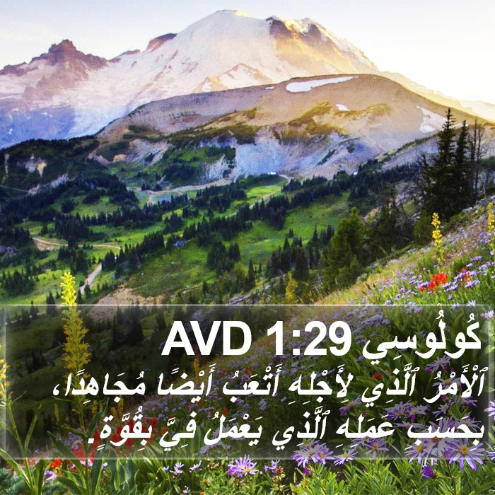 كُولُوسِي 1:29 AVD Bible Study