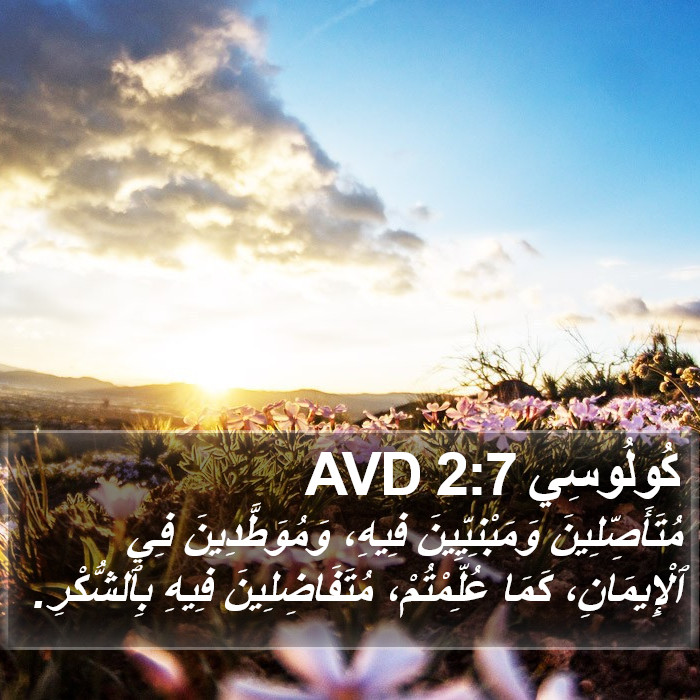 كُولُوسِي 2:7 AVD Bible Study