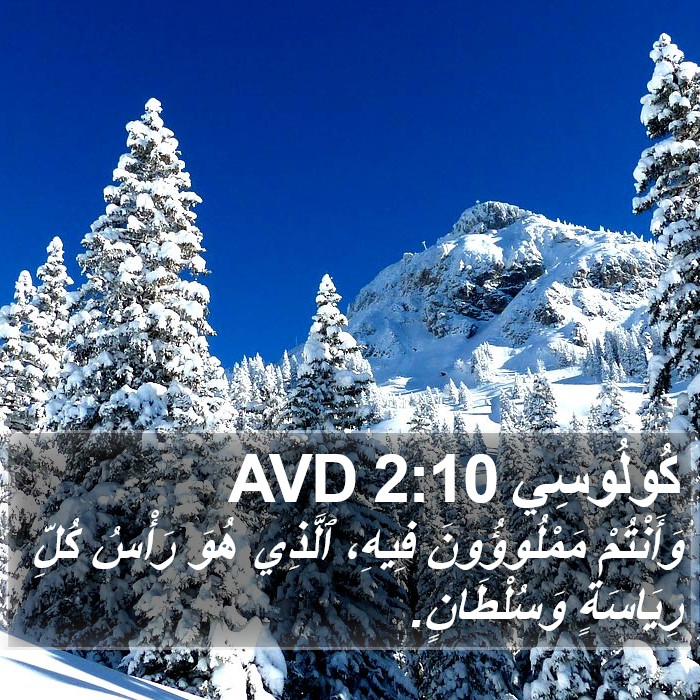 كُولُوسِي 2:10 AVD Bible Study