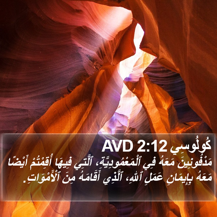 كُولُوسِي 2:12 AVD Bible Study