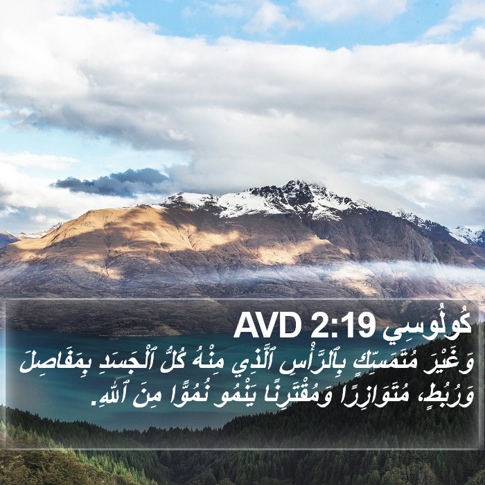 كُولُوسِي 2:19 AVD Bible Study