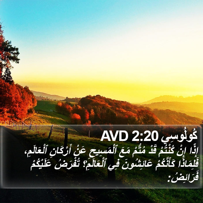 كُولُوسِي 2:20 AVD Bible Study