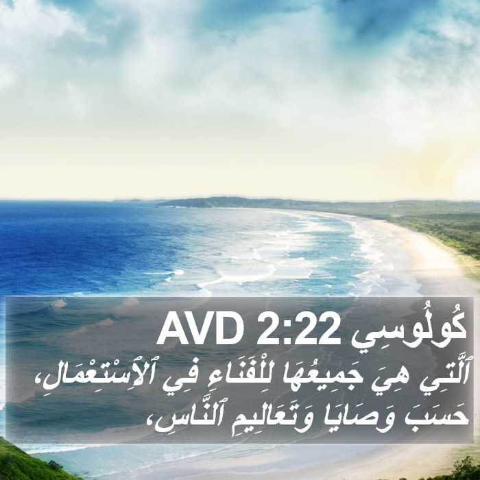 كُولُوسِي 2:22 AVD Bible Study