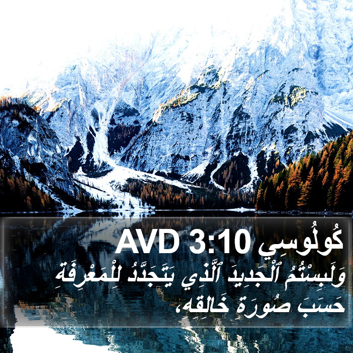 كُولُوسِي 3:10 AVD Bible Study
