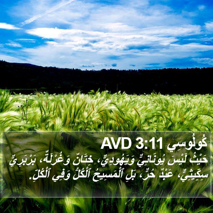 كُولُوسِي 3:11 AVD Bible Study