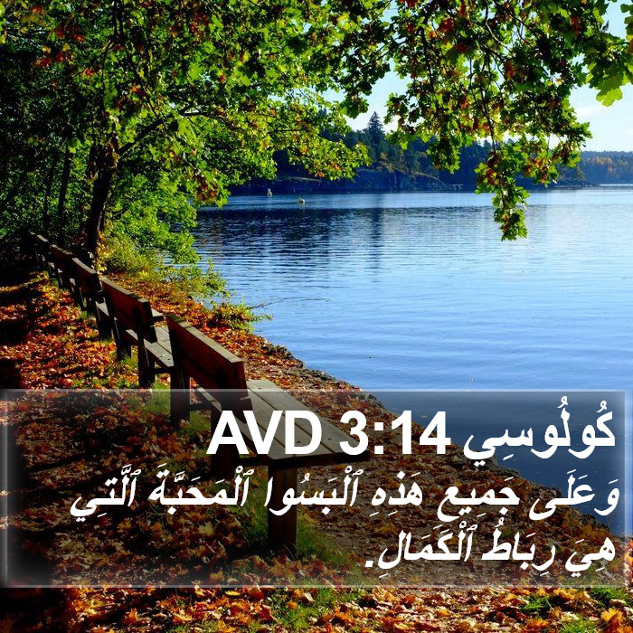 كُولُوسِي 3:14 AVD Bible Study