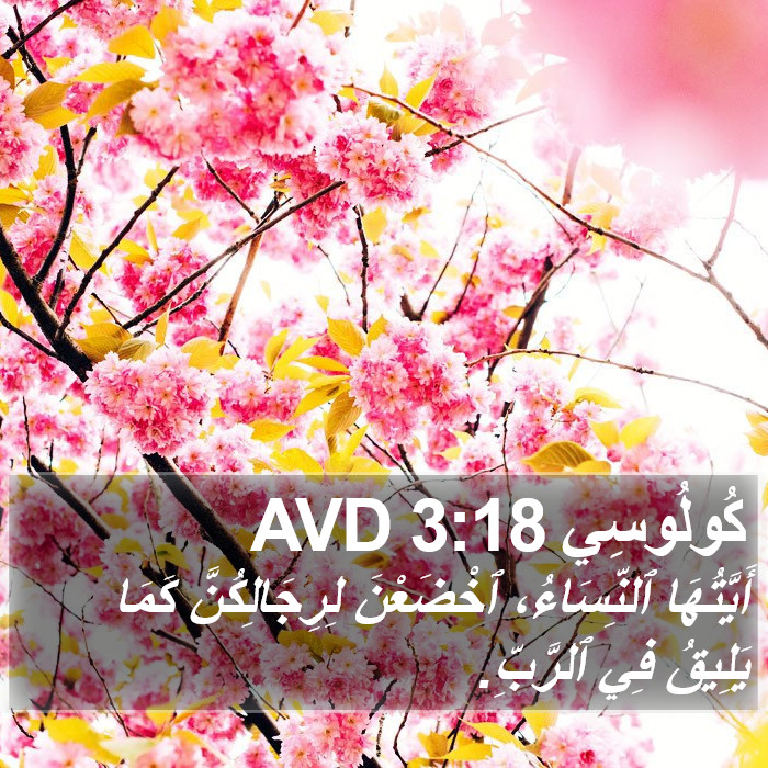 كُولُوسِي 3:18 AVD Bible Study